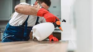 Emergency Pest Control Services in Wooster, OH